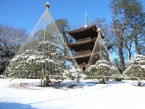 庭園冬