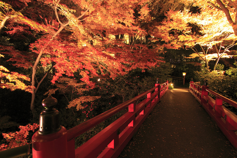 紅葉