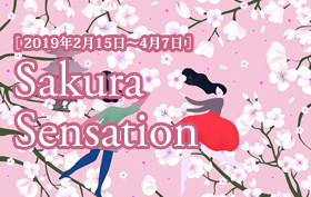 季節のおすすめプラン【桜:2月15日~4月7日】