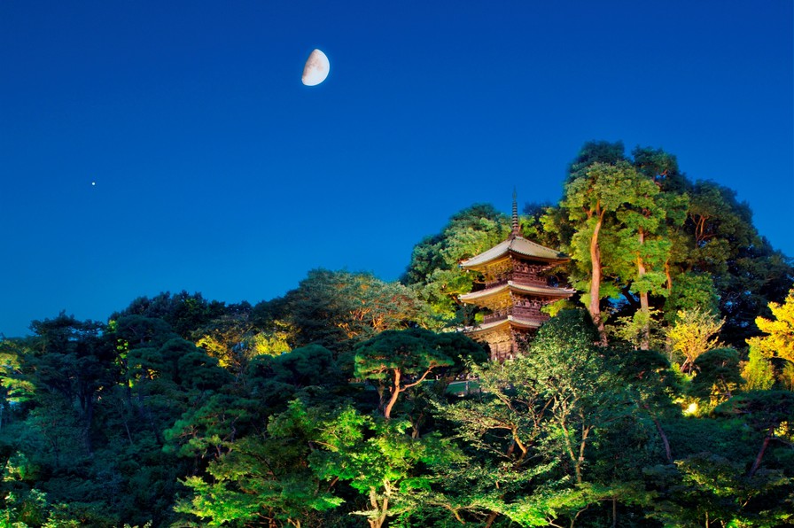 庭園夜