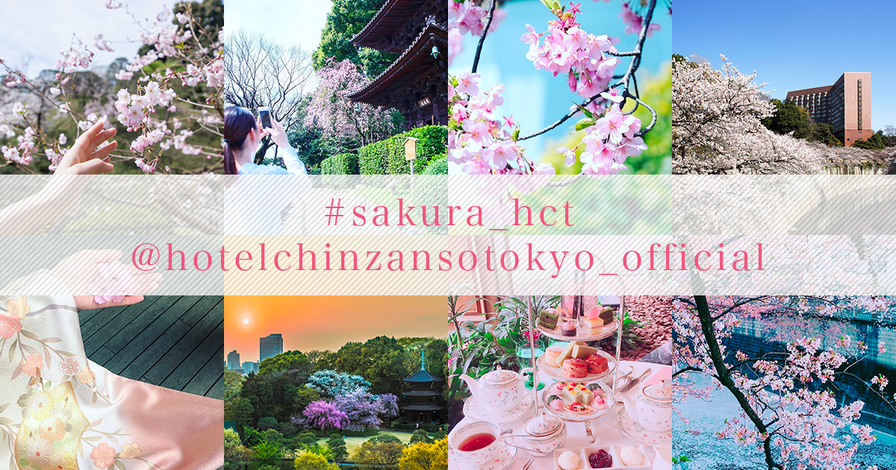 桜フォト