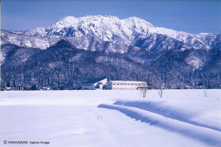 八海山