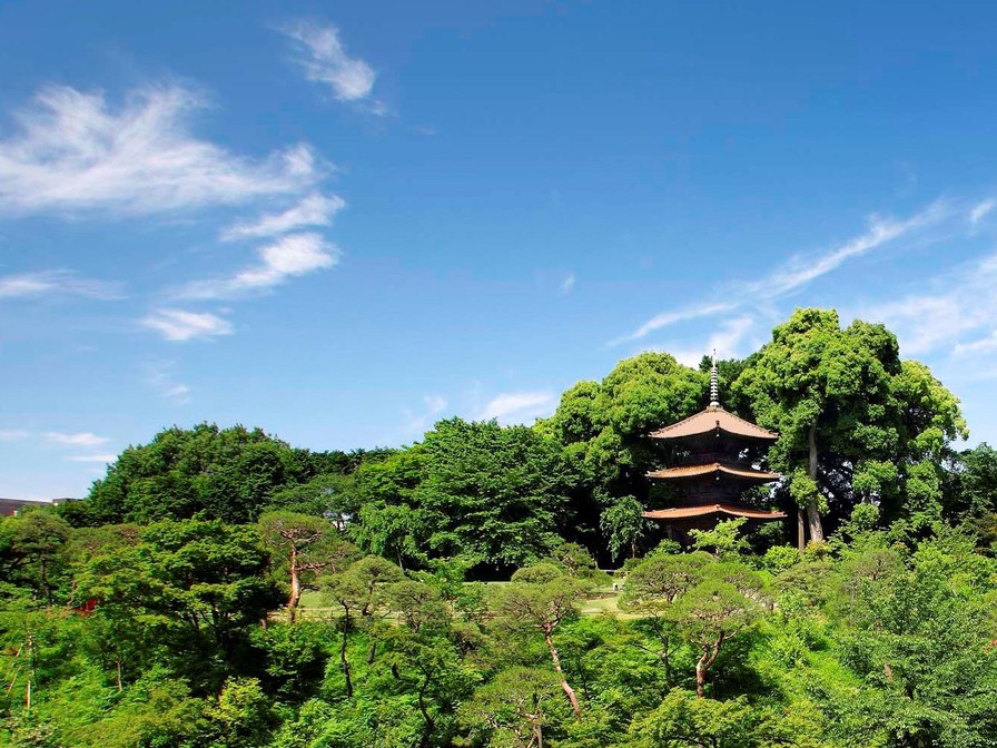 庭園全景